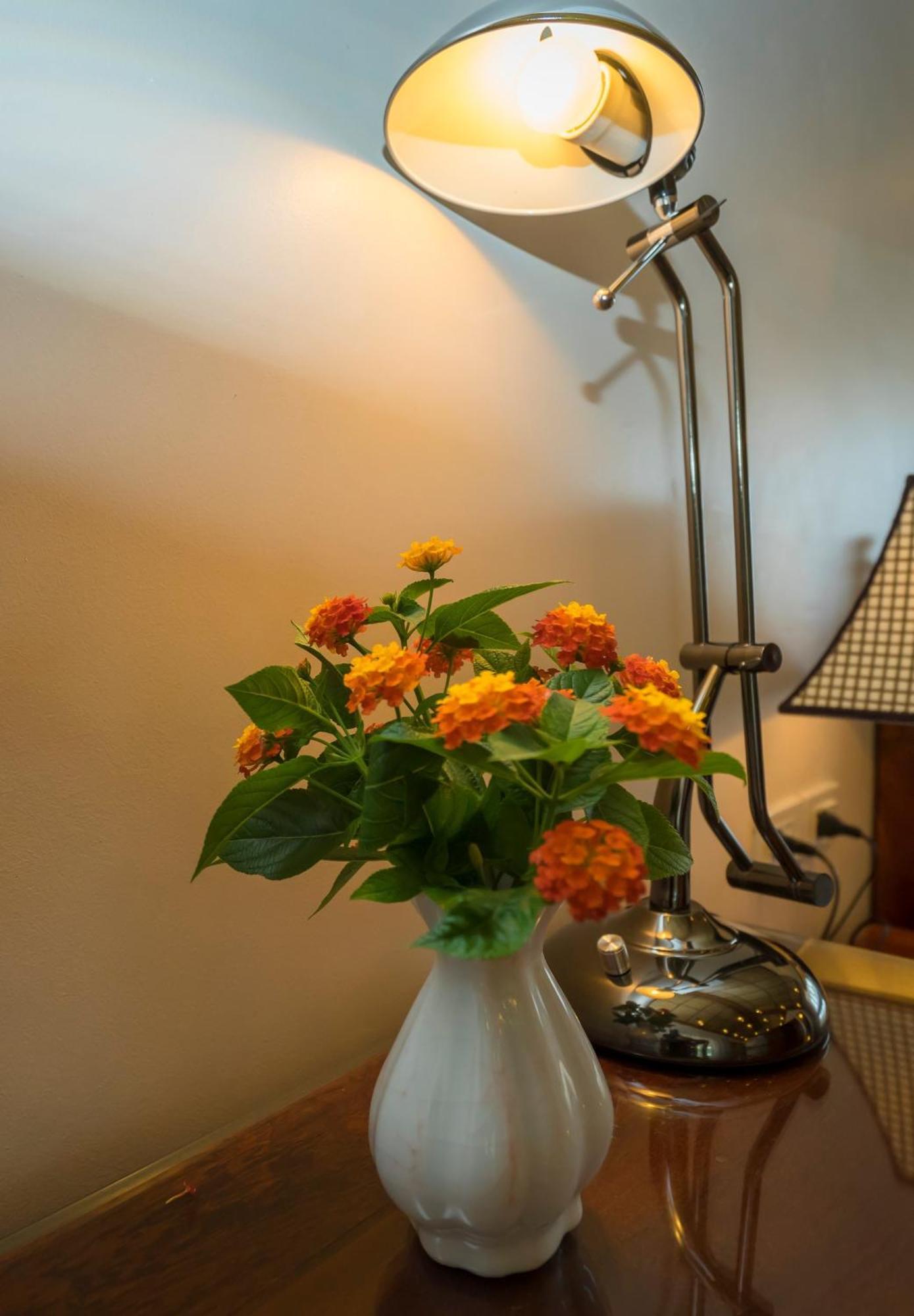 Hoa Binh Hotel Rum bild